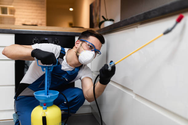 Best Pest Control for Businesses  in Duquesne, PA