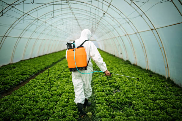 Best Pest Prevention Services  in Duquesne, PA