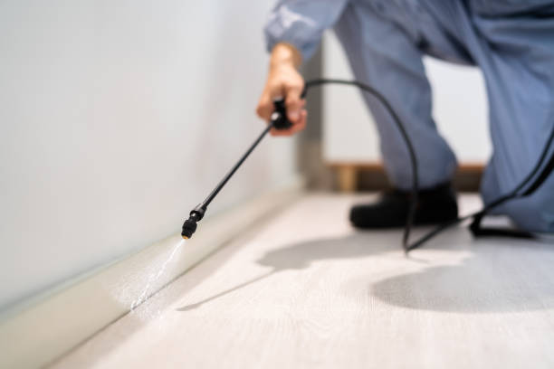 Pest Prevention Services in Duquesne, PA