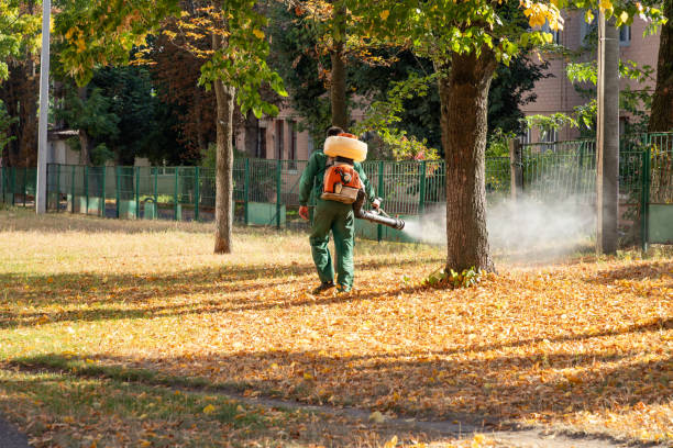 Best Pest Control Near Me in Duquesne, PA