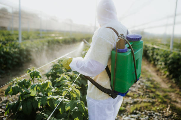 Best Commercial Pest Control Services  in Duquesne, PA
